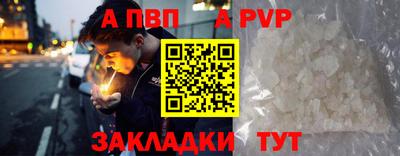 сатива Малгобек