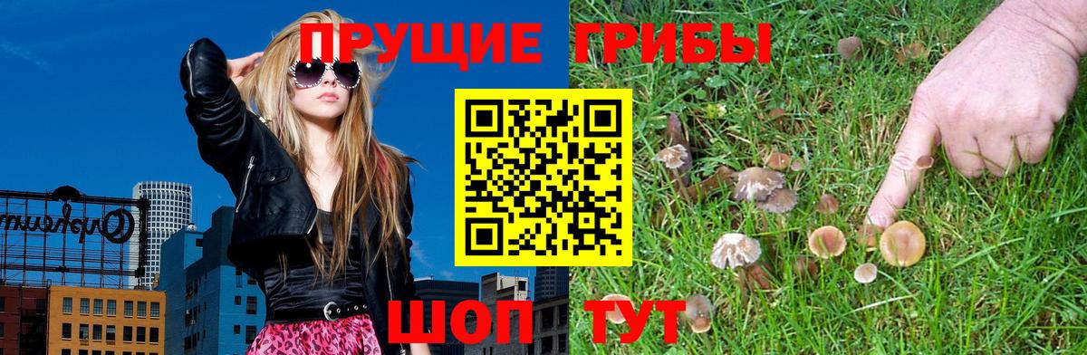 Галлюциногенные грибы прущие грибы  Вход с VPN  Дмитров 
